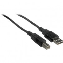 Pearstone USB 2.0 Type A Male to Type B Male Cable - 6' (1.8 m)